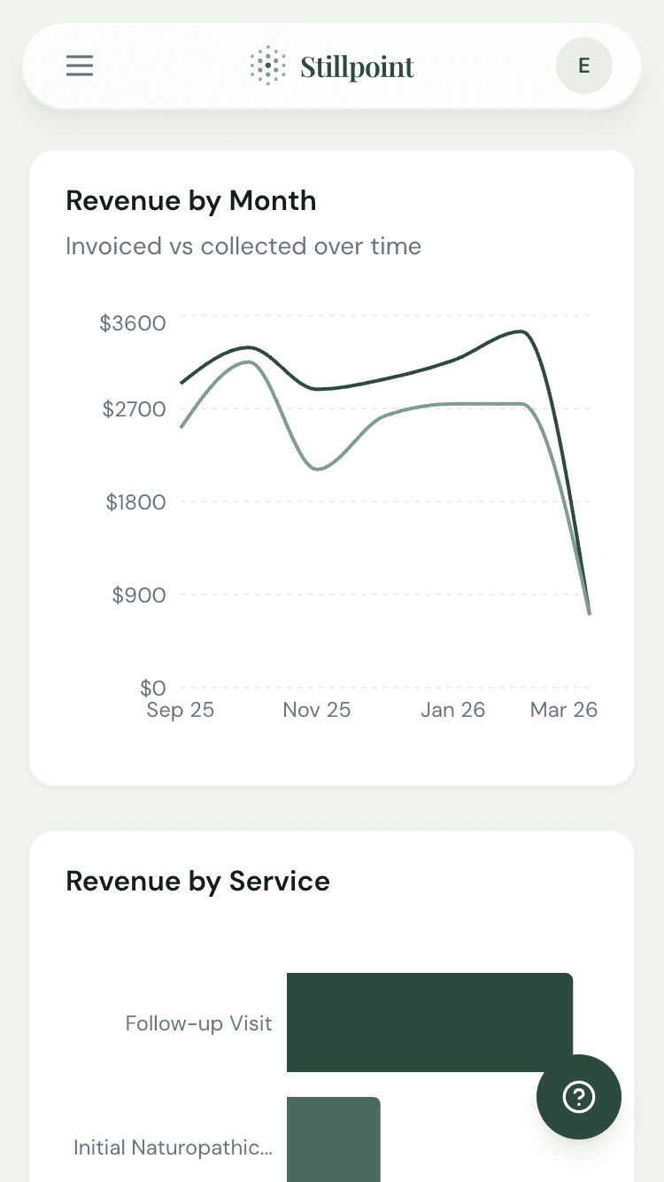 Revenue by month and service charts